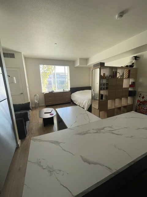 Open living and sleeping area with marble-look counter