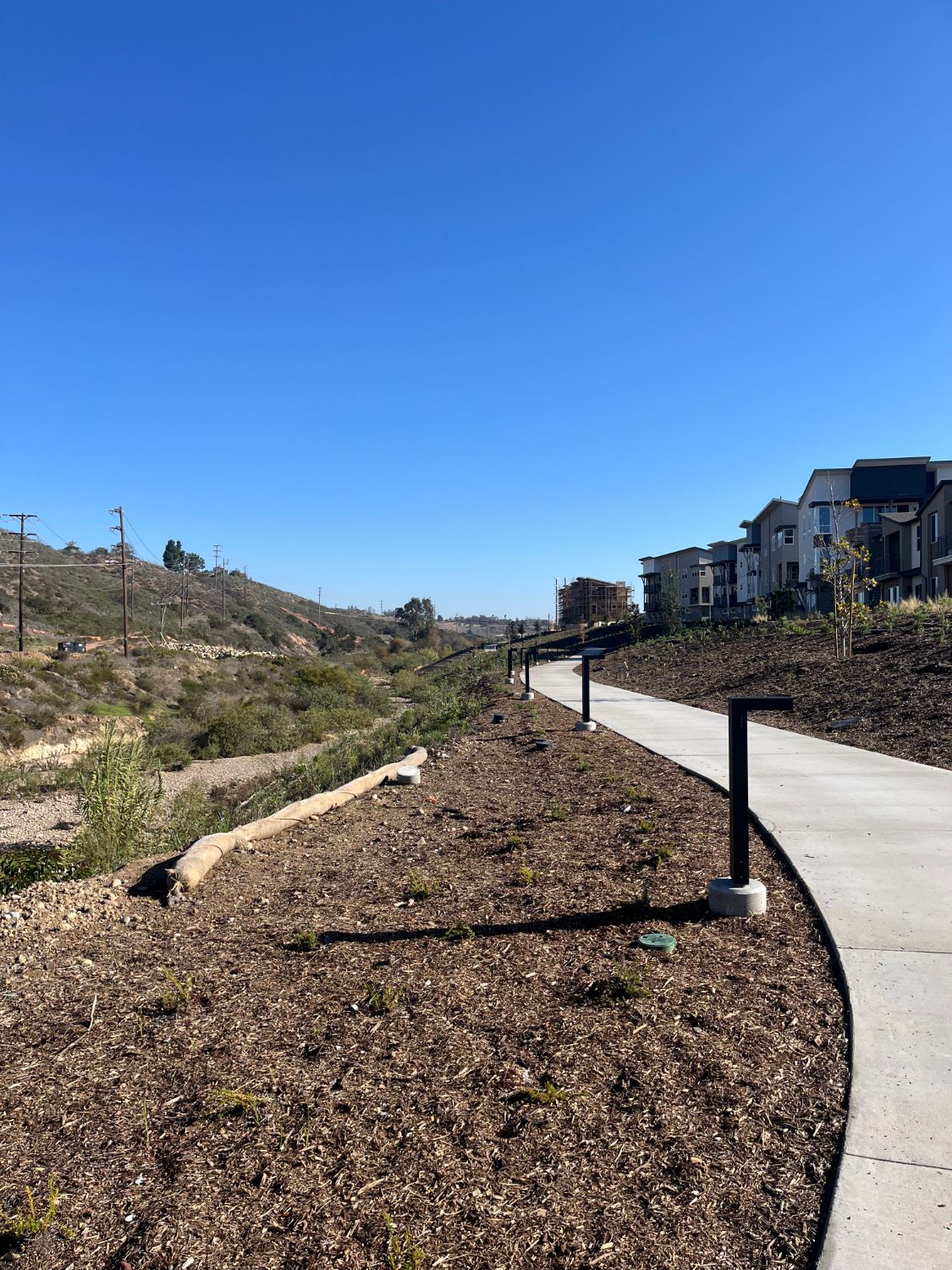 New landscaped walkway alongside residences